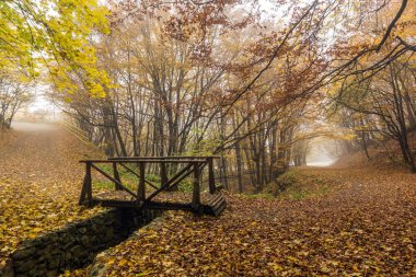Sisin içinde sarı orman ve ahşap köprü, Vitosha Mountain ile manzara