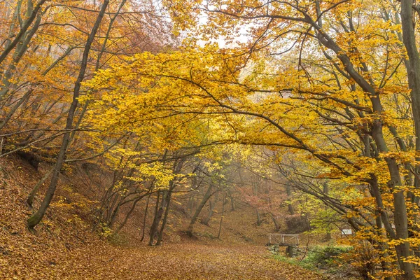 Otoño Paisaje de la ruta gastronómica de montaña, Montaña Vitosha, Región de la ciudad de Sofía — Foto de Stock