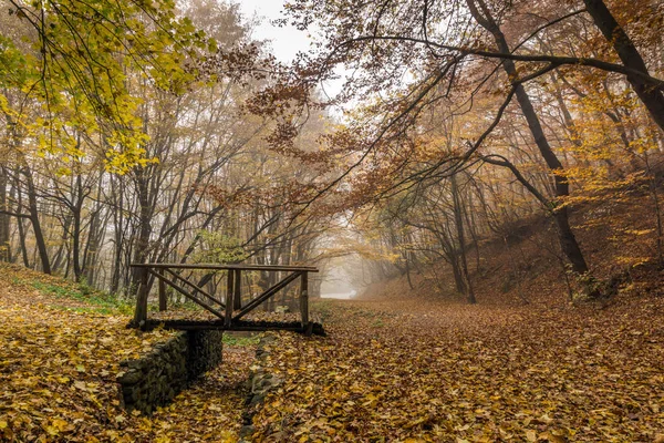 Jesienny krajobraz z mgłą w lesie żółty i drewniany most, masyw Witosza — Zdjęcie stockowe