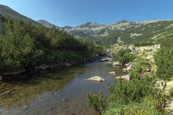 Rivière Banderishki Perdrix choukar Peak et de montagne, montagne de Pirin — Photo