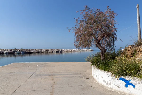 Boom in de haven van Limenaria, Thassos island, Oost-Macedonië en Thracië, — Stockfoto