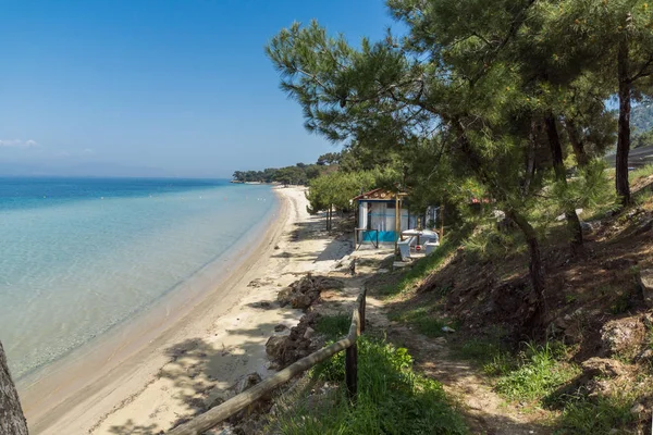 Bomen op het strand met blauw water in Thassos eiland, Oost-Macedonië en Thracië — Stockfoto