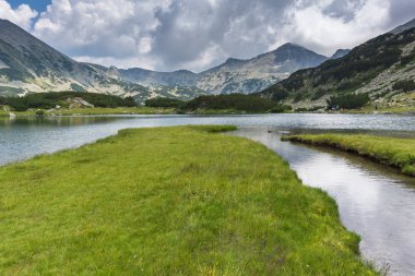 Banderishki Kınalı keklik ve yansıma Muratovo göl, Pirin Dağı