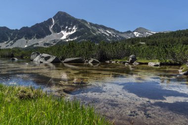 Yeşil çimen, Sivrya tepe ve Banski gölleri, Pirin Dağı