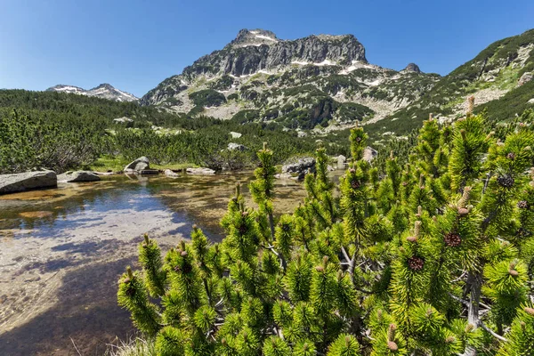 Bukit hijau, puncak Dzhangal dan danau Banski, Gunung Pirin — Stok Foto