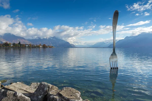 VEVEY, SUIZA - 29 OCTUBRE 2015: Panorama de Vevey, cantón de Vaud — Foto de Stock