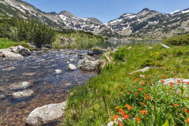Dağ nehir, Demirkapiyski Kınalı keklik ve Dzhano tepeler, Popovo Gölü, Pirin Dağı
