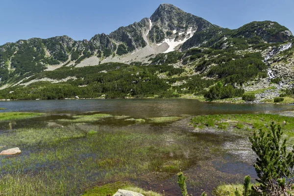 Ryby jezior i Sivrya szczyt, góry Pirin — Zdjęcie stockowe