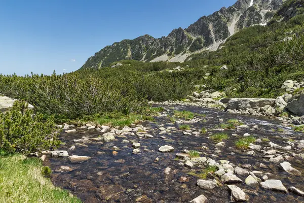 Sungai dekat puncak Sivrya, Pegunungan Pirin — Stok Foto