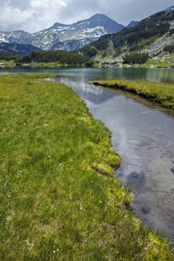 Şaşırtıcı panorama Mountain River Banderishki Kınalı tepeye, Pirin Dağı