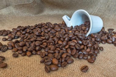 Kupası ve kahve tanesi