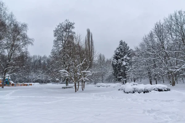 Paisagem de Inverno com árvores cobertas de neve em South Park, na cidade de Sofia — Fotografia de Stock