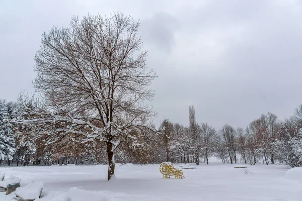 Zimowy krajobraz z pokrytymi śniegiem drzewami w parku południowym w Sofii — Zdjęcie stockowe