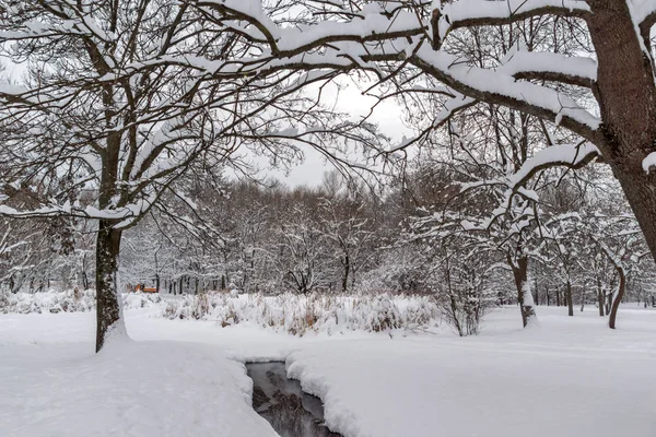 Vista de inverno com árvores cobertas de neve em South Park, na cidade de Sofia — Fotografia de Stock