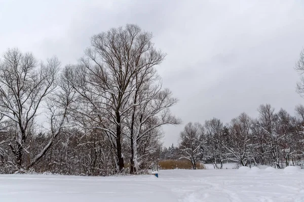 Vista de invierno con árboles cubiertos de nieve en South Park en la ciudad de Sofía —  Fotos de Stock