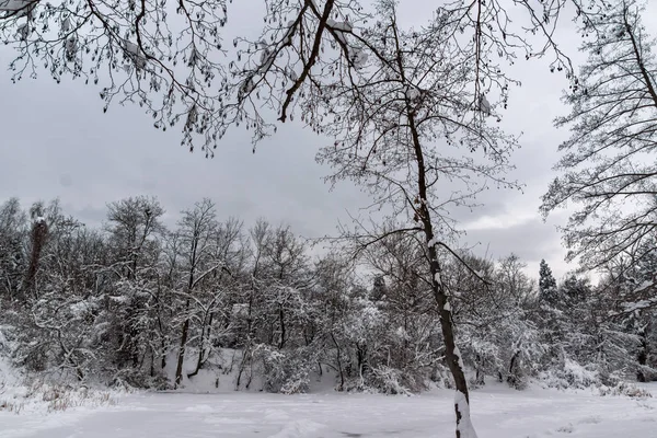 Winters aanblik met sneeuw bedekt bomen in South Park in de stad van Sofia — Stockfoto