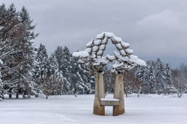 Kar kış görünümü şaşırtıcı ağaçlar Sofya şehir South Park'taki kaplı