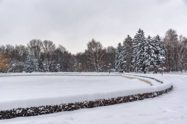 Kar kış görünümü şaşırtıcı ağaçlar Sofya şehir South Park'taki kaplı