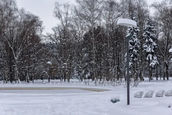 Increíble vista de invierno con árboles cubiertos de nieve en South Park en la ciudad de Sofía —  Fotos de Stock