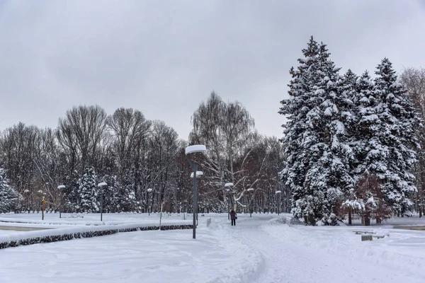 Otroligt vinter med snö täckt träd i South Park i staden Sofia — Stockfoto