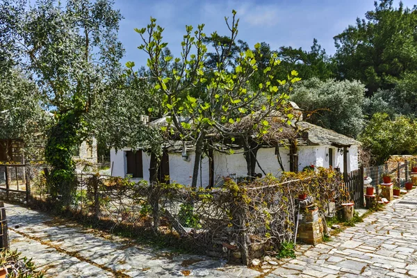 老石房子和紫罗兰色的花朵在邀功村庄萨索斯岛岛、 东马其顿和色雷斯 — 图库照片