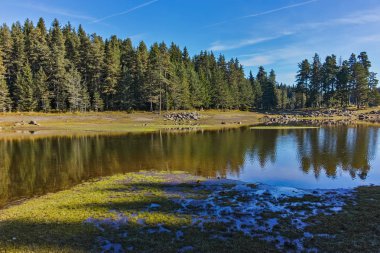Shiroka yeşil orman polyana depo, Pazarcık bölge peyzaj