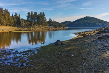 Shiroka yeşil orman polyana depo, Pazarcık bölge peyzaj