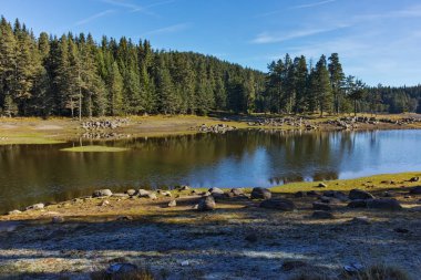 Shiroka yeşil orman polyana depo, Pazarcık bölge peyzaj