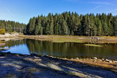 Shiroka yeşil orman polyana depo, Pazarcık bölge peyzaj