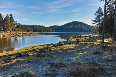 Shiroka yeşil orman polyana depo, Pazarcık bölge peyzaj