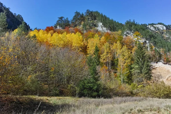 Increíble vista de árboles amarillos y vista de otoño del desfiladero de Buynovsko, montañas Rhodope — Foto de Stock