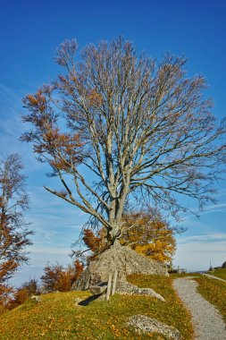 Dört kanton Gölü, çevre Dağı Rigi, Alpler üzerinde yeşil çayırlar