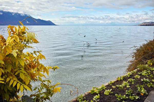 Vista de otoño del terraplén de Montereux, cantón de Vaud — Foto de Stock