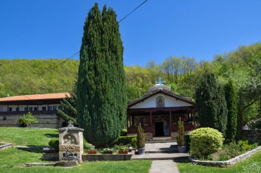 Panoramik Temski Manastırı St George, Sırbistan