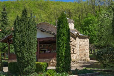 Panoramik Temski Manastırı St George, Sırbistan