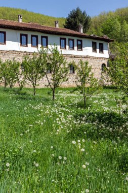 Panoramik Temski Manastırı St George, Sırbistan