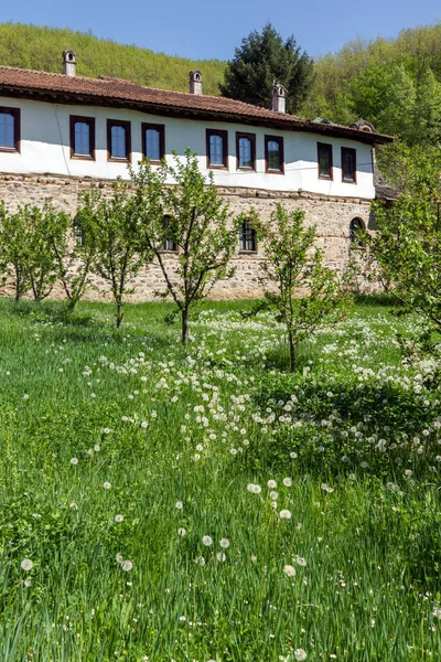 Panoramautsikt över Temski klostret St. George, Serbien — Stockfoto