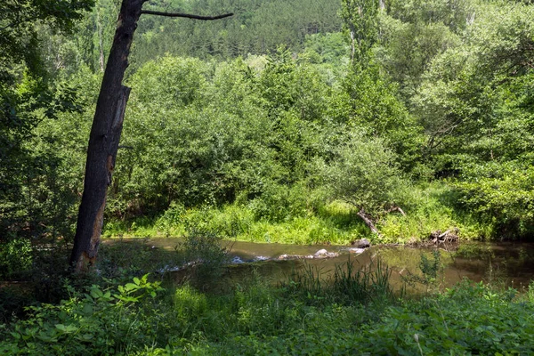 Increíble paisaje de verano del lago Pancharevo, ciudad de Sofía Región — Foto de Stock