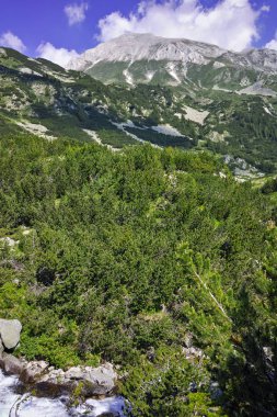 Yeşil tepelerin ve Vihren tepe, Pirin Dağı