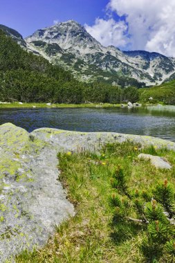 Yansıma Muratov tepe nehir, Pirin Dağı ile manzara
