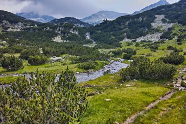 Temiz sular, Pirin Dağı ile nehir manzara