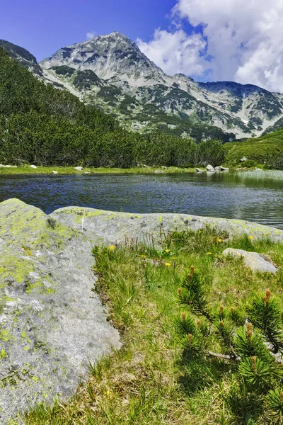 Landschaft mit Reflexion des Muratov-Gipfels im Fluss, Pirin-Gebirge — Stockfoto