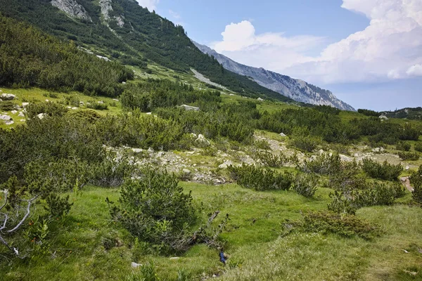 Landskap med flod med rent vatten, Pirin berget — Stockfoto