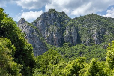 Vlasi Köyü ve kaya oluşumu Jerma River Gorge Panoraması