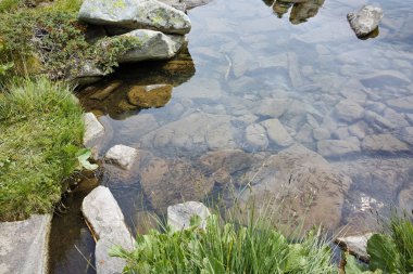 Popovo Gölü, Pirin Dağı sularda küçük balık