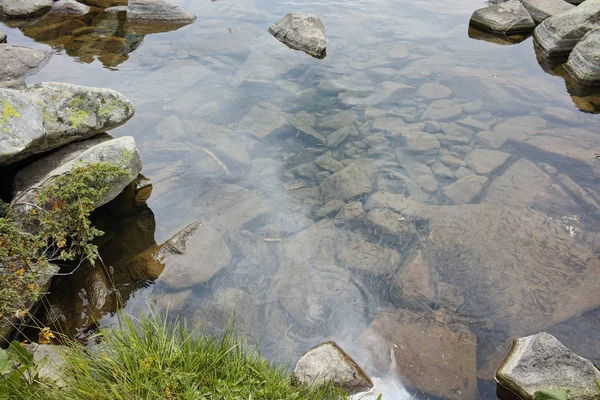 Small Fish in the waters of Popovo lake, Pirin mountain — Stock Photo, Image