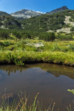 Panoramik Banderishki Kınalı tepe ve dağ nehir, Pirin Dağı