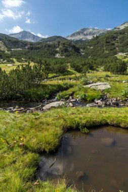 Panoramik Banderishki Kınalı tepe ve dağ nehir, Pirin Dağı