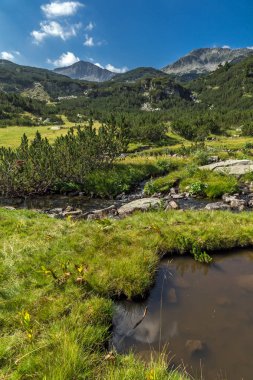 Panoramik Banderishki Kınalı tepe ve dağ nehir, Pirin Dağı