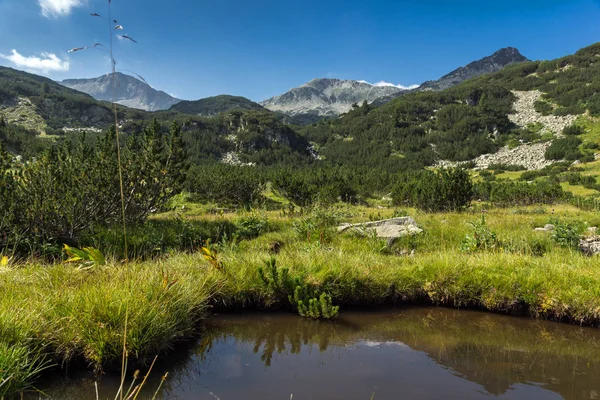 Panoramatický pohled Banderishki Chukar Peak a horské řeky, pohoří Pirin — Stock fotografie